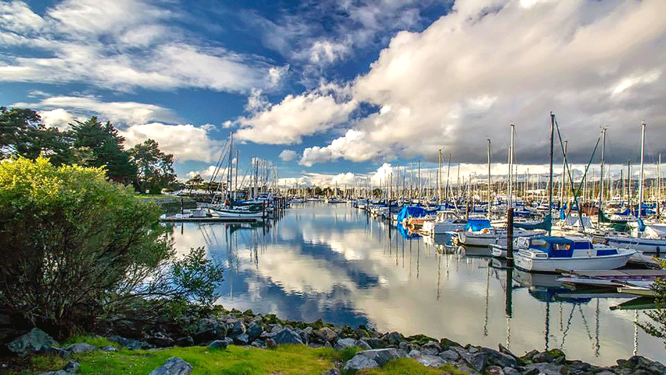 Bright blue sky with clouds looking out onto the glassy waters of the Berkeley Marina