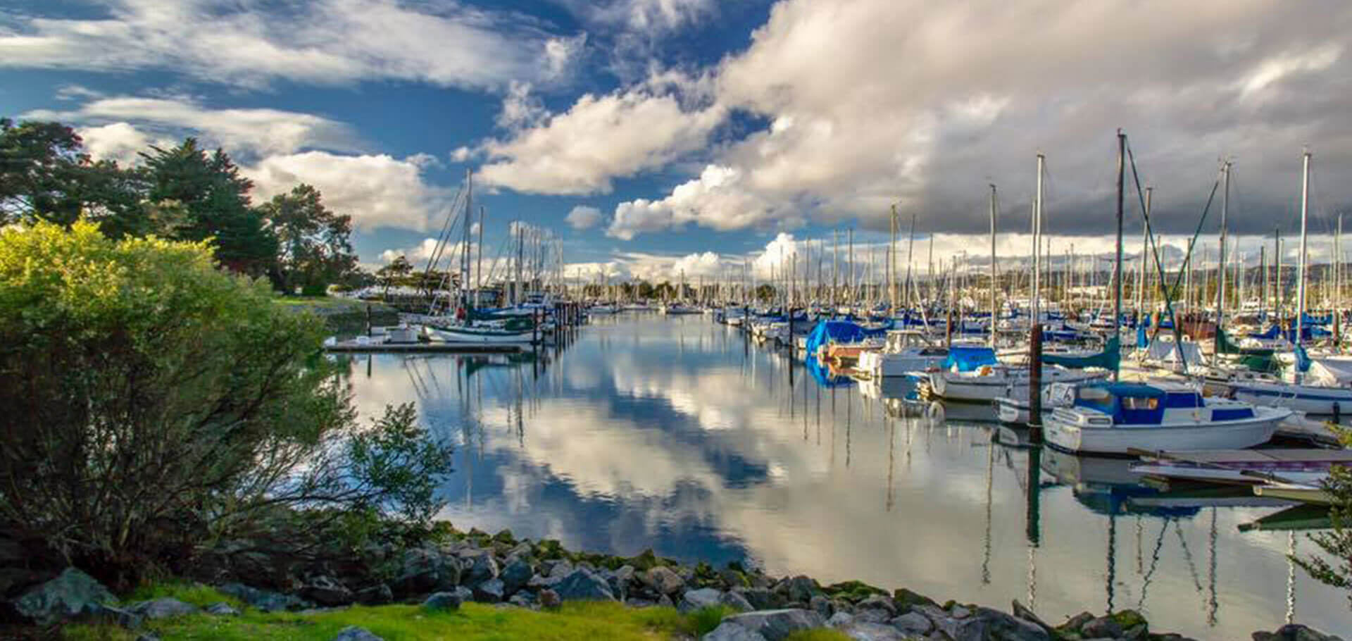 View of Berkeley Marina